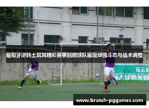 葡萄牙逆转土耳其精彩赛事回顾球队展现顽强斗志与战术调整 葡萄牙逆转土耳其精彩赛事回顾球队展现顽强斗志与战术调整