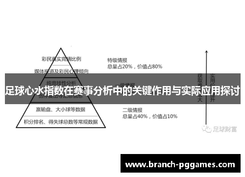 足球心水指数在赛事分析中的关键作用与实际应用探讨