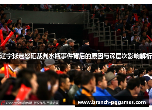 辽宁球迷怒砸裁判水瓶事件背后的原因与深层次影响解析