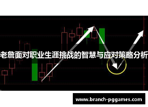 老詹面对职业生涯挑战的智慧与应对策略分析 老詹面对职业生涯挑战的智慧与应对策略分析