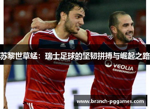 苏黎世草蜢：瑞士足球的坚韧拼搏与崛起之路