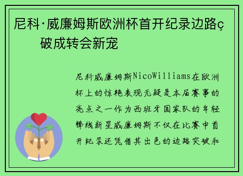 尼科·威廉姆斯欧洲杯首开纪录边路爆破成转会新宠