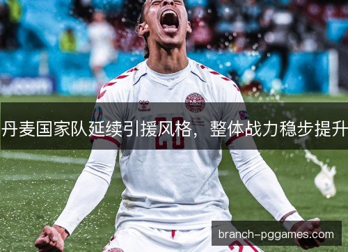 丹麦国家队延续引援风格，整体战力稳步提升