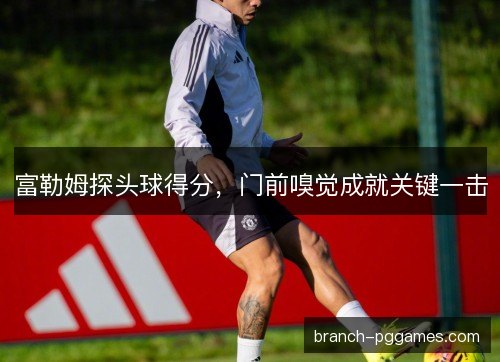 富勒姆探头球得分，门前嗅觉成就关键一击
